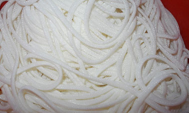 Büyük Polyester Spiral Mesh Monofilament Polyester Mesh Beyaz ve Mavi